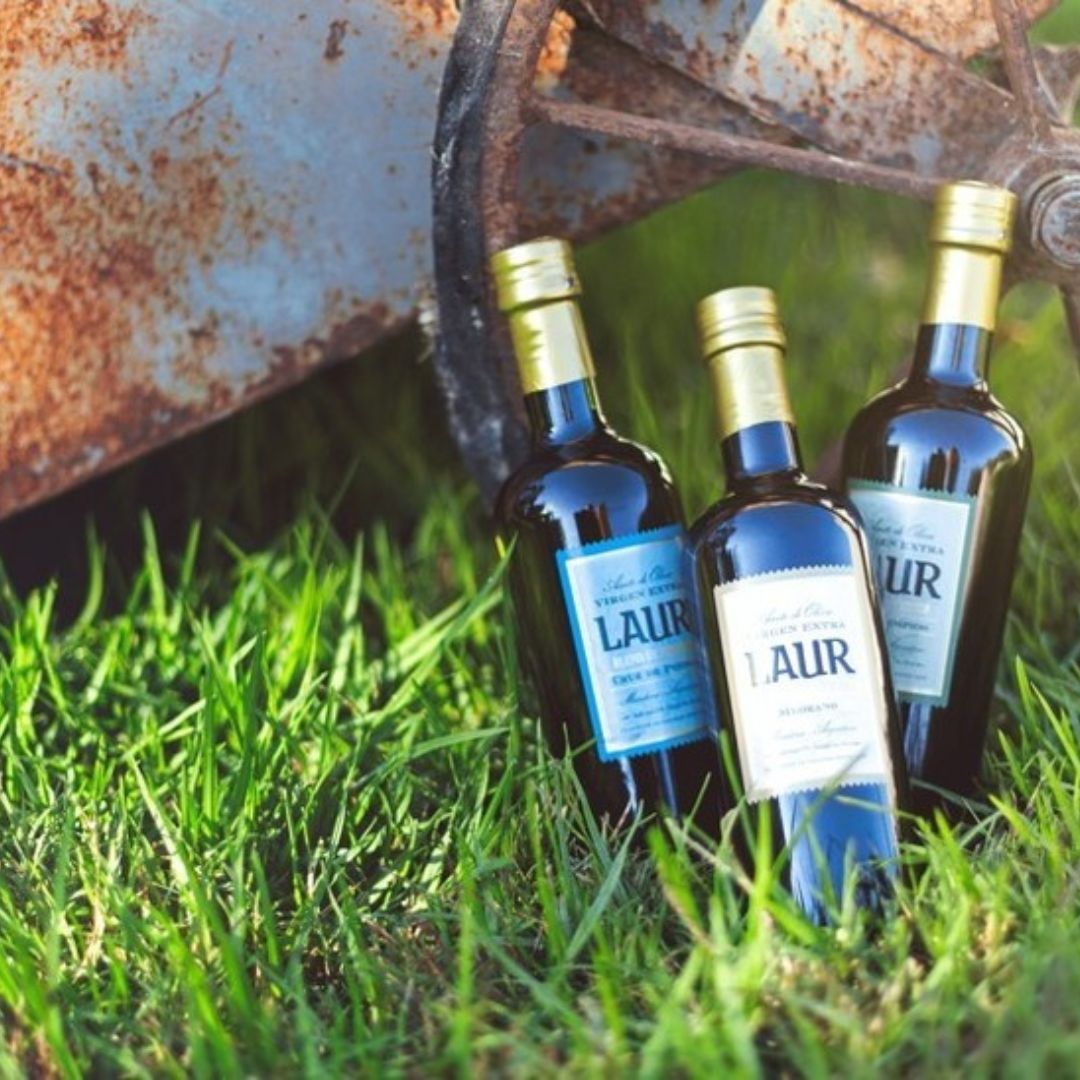 Medrano - Olive Oil Extra Virgin (500ml)